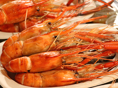 甲壳素的功效与作???