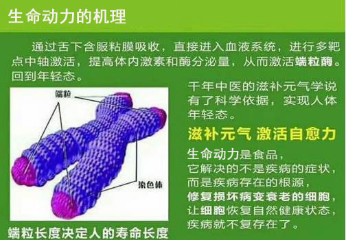 1554268654937830.jpg 23.jpg