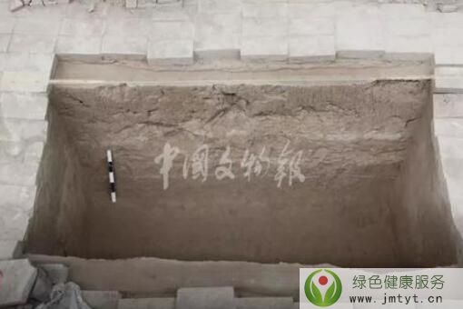 一种新兵马俑被发现